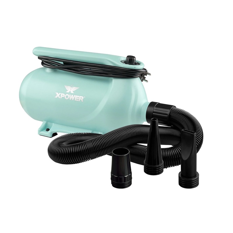 XPOWER B-163 High Velocity Variable Speed Double Motor Pet Dryer – Mint Green