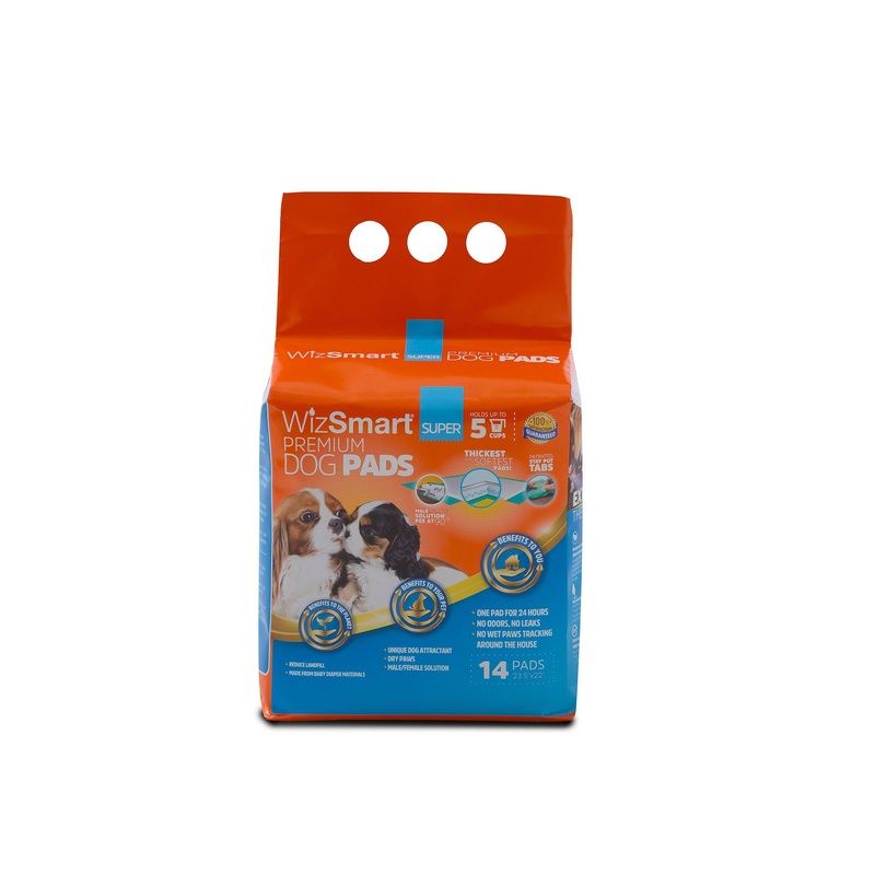 WizSmart All Day Dry Super 14 Count