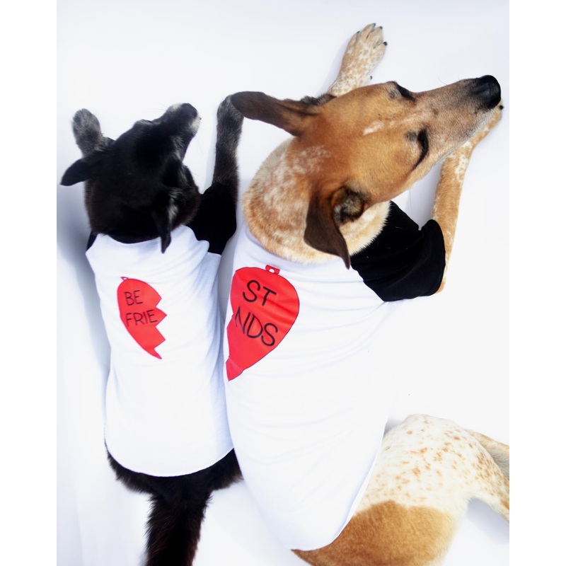 *Best Friends* Graphic Dog T-Shirt Set