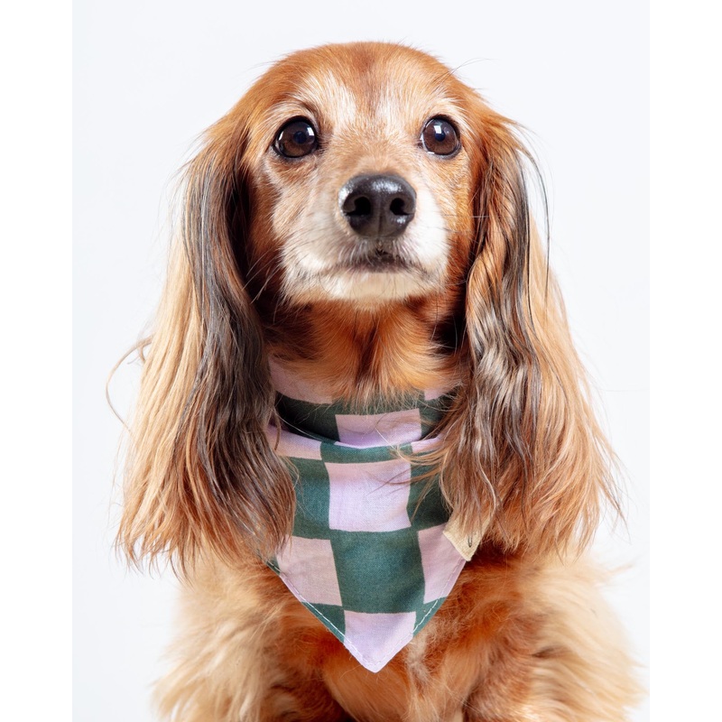 Brooklyn Checkered Dog Bandana (FINAL SALE)