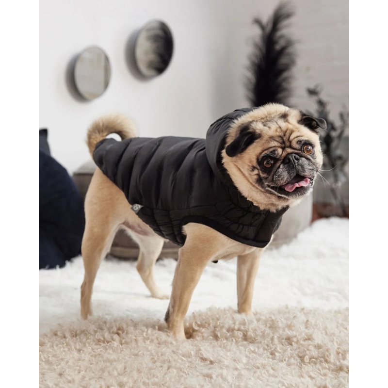 Cloud Puffer Parka for Dogs in Black