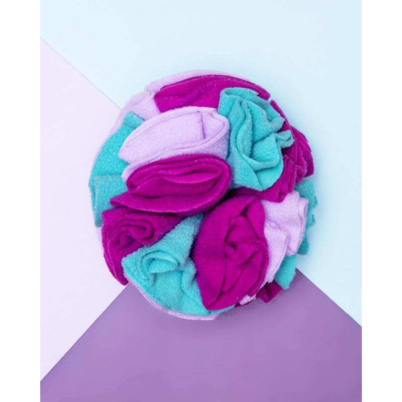 Hide ‘n Seek Snuffle Ball Dog Toy