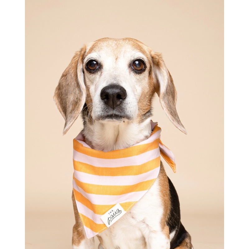 Nusa Striped Dog Bandana|Small|Medium|Large