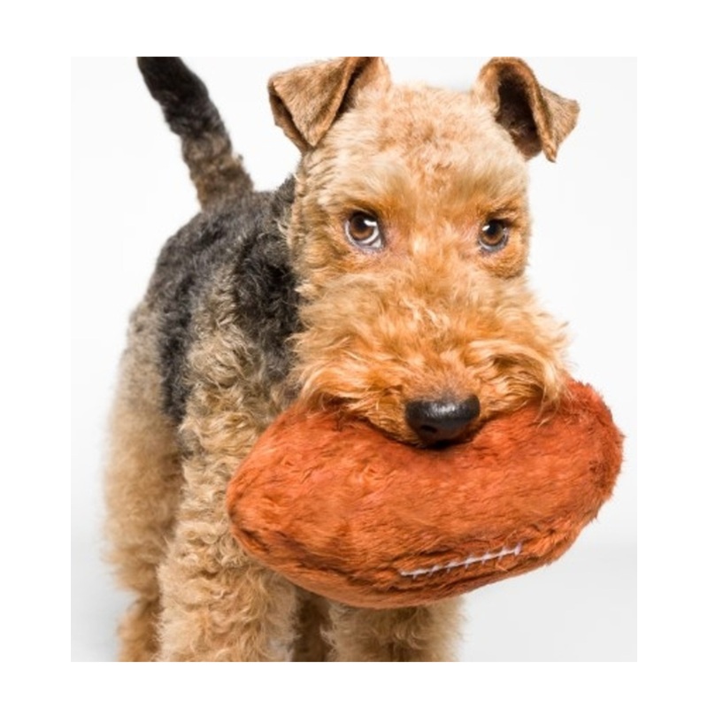 Plush + Squeaky Football Dog Toy