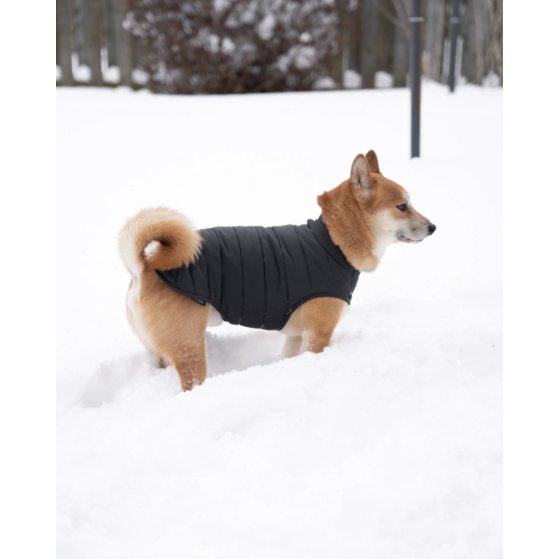 Reversible Puffer Dog Jacket in Black