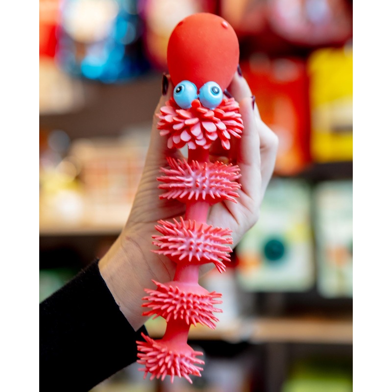 Sensory Snake Rubber Squeaky Dog Toy