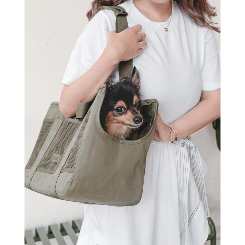 Subway Pet Carrier in Fern
