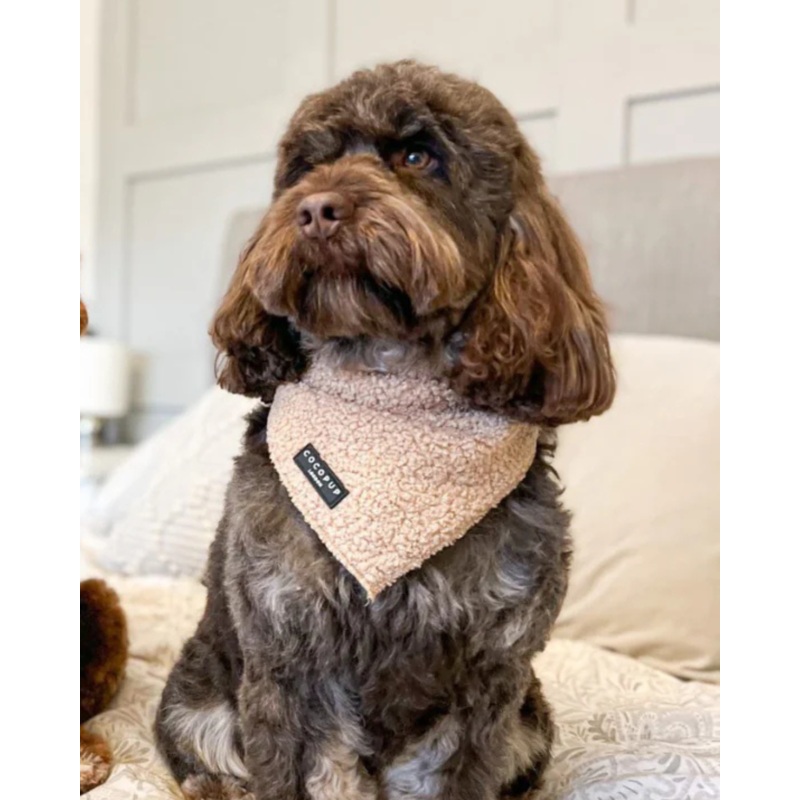 Teddy Dog Bandana (20×20)