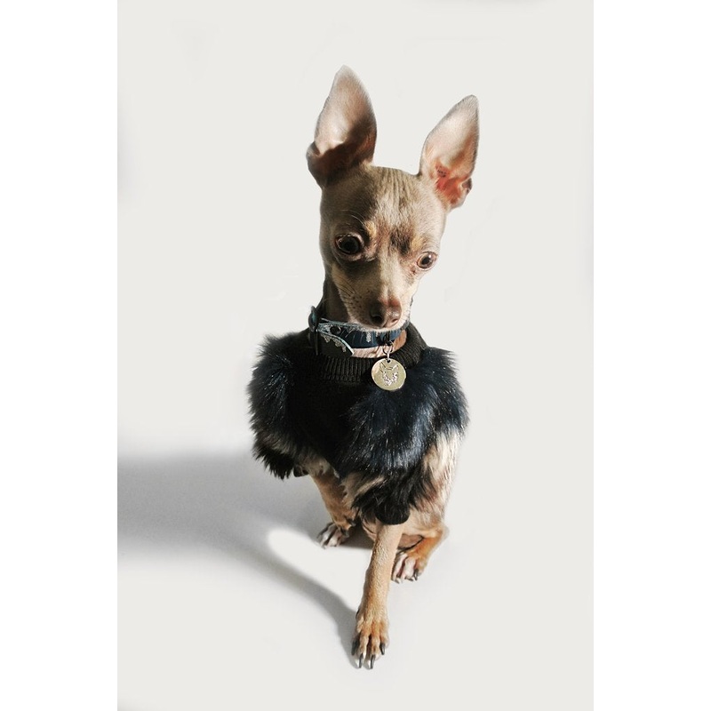 EYE OF DOG | Fluffy Pullover|XXS|XS|S|M|L
