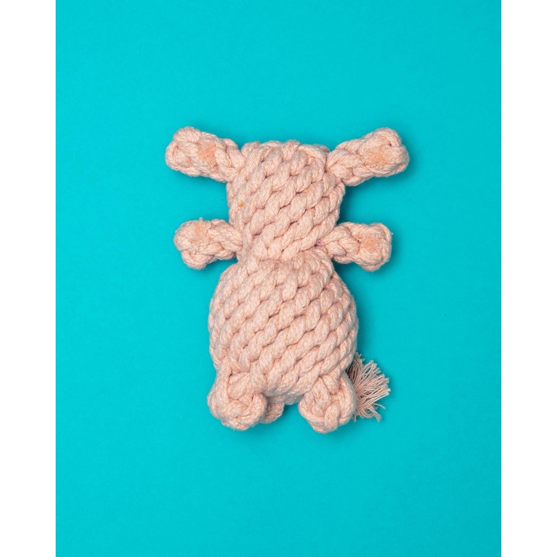 Sweetheart Bear Rope Dog Toy