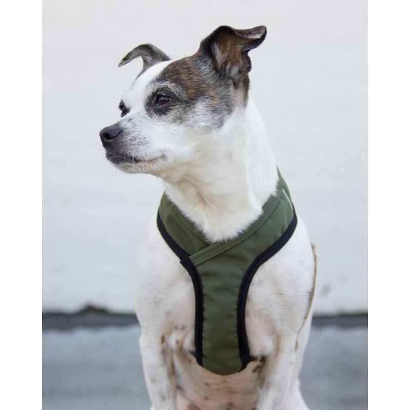 Laguna Dog Harness in Olive|XS|S|M|L
