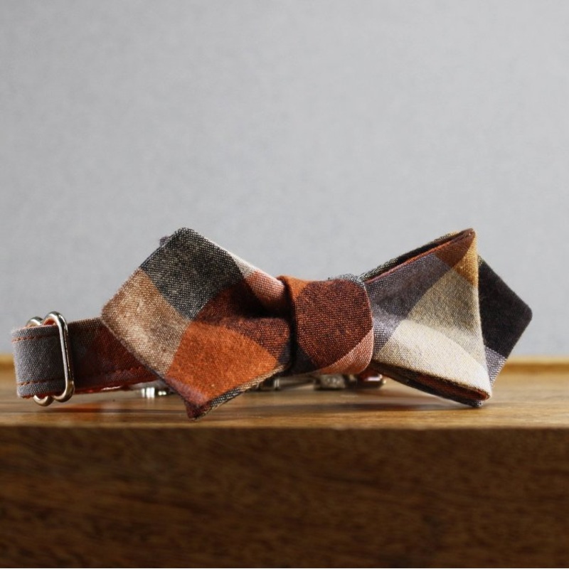 TRAX TIES | The Jack Contemporary Bow Tie and Collar