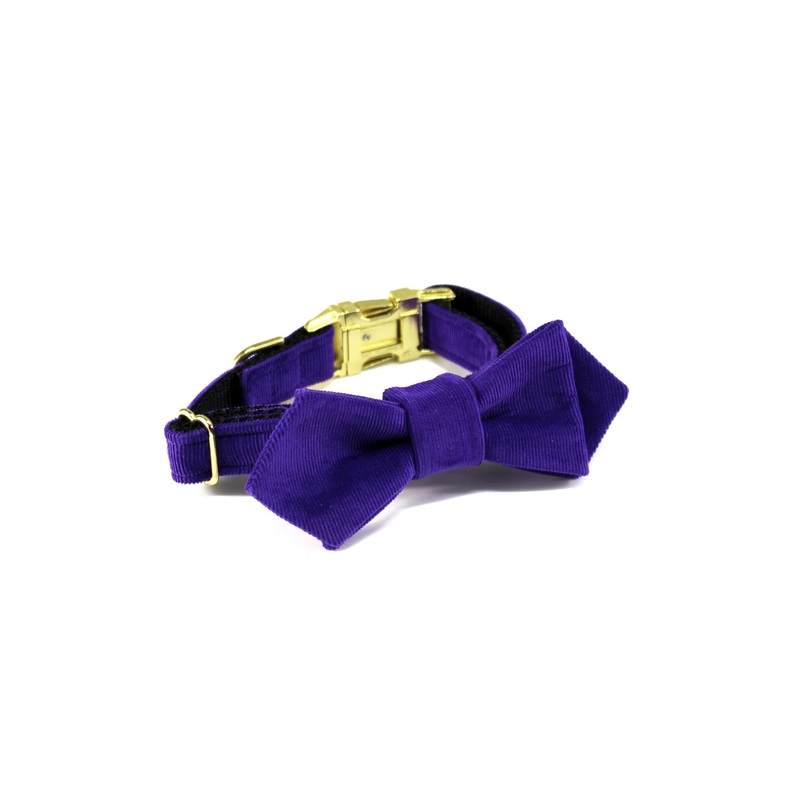 TRAX TIES | The Jones Contemporary Bow Tie and Collar