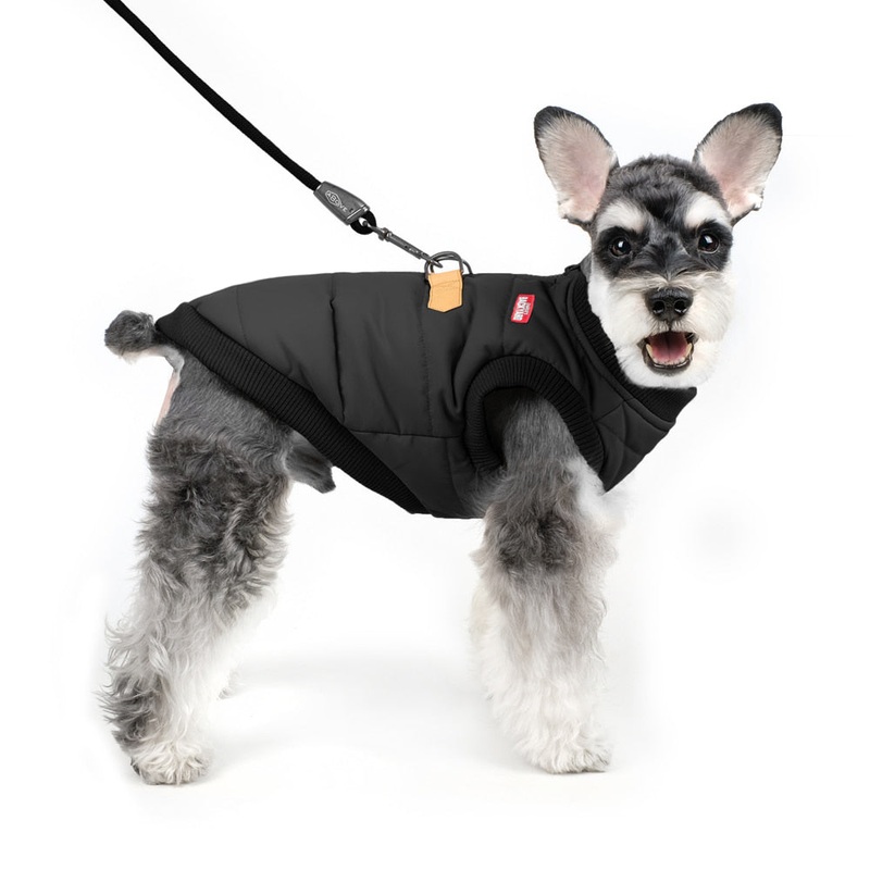 CHARLIE’S BACKYARD | Harness Jacket in Black