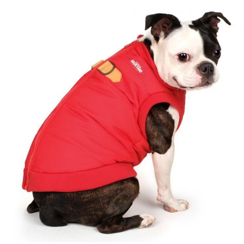 CHARLIE’S BACKYARD | Harness Jacket in Red