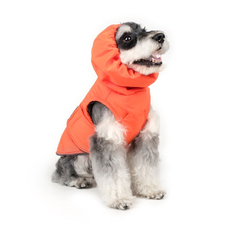 CHARLIE’S BACKYARD | Turtle Padding Jacket in Orange