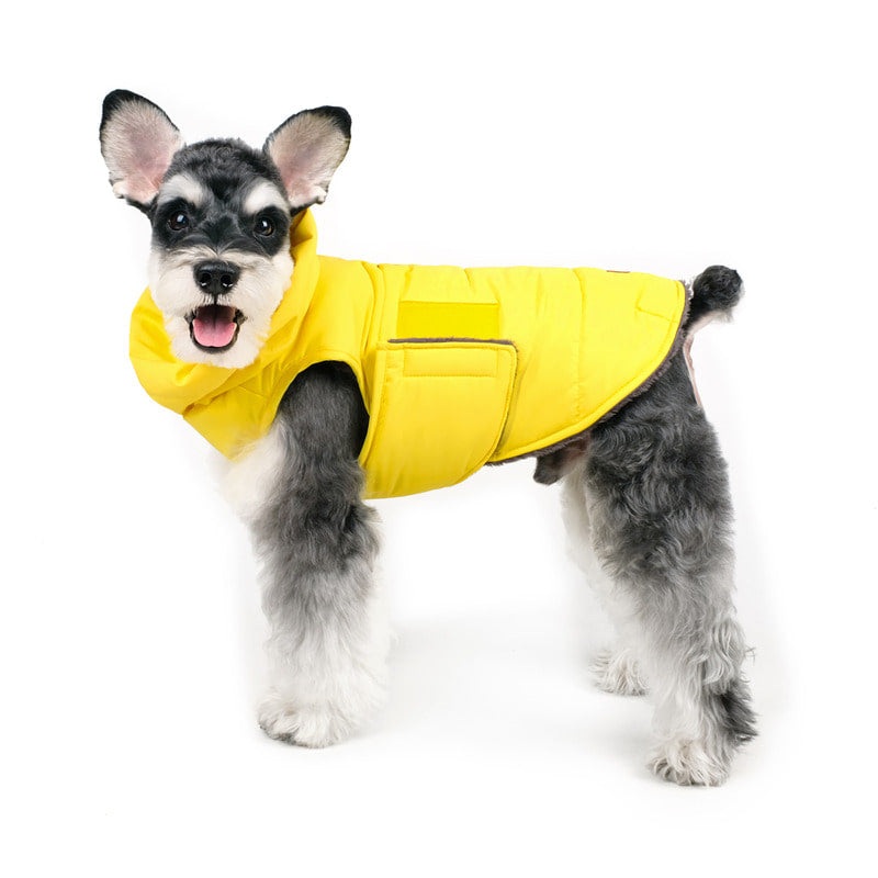 CHARLIE’S BACKYARD | Turtle Padding Jacket in Yellow