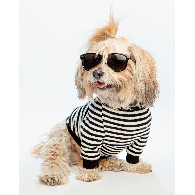 Cheeky Stripe Pullover in Black & White with Black Trim