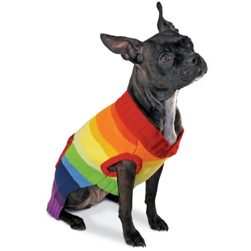 DOGO | Rainbow Sweater|XSmall|Small|Medium|Large|XLarge|XX Large|XX Small