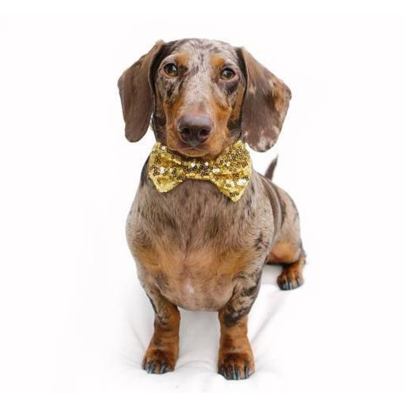 BUSTER’S PARTY SHOP | Gold Sequin Bow Tie