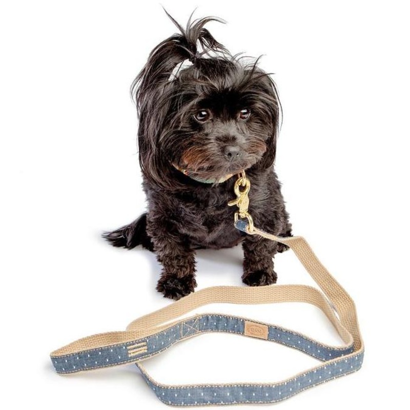 FINNEGAN’S STANDARD GOODS | Denim Pin Dot Lead
