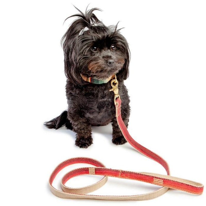FINNEGAN’S STANDARD GOODS | Sunset Lead