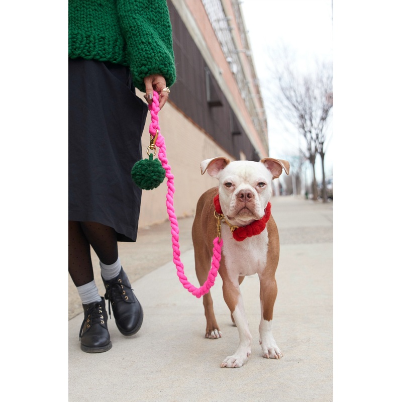 LOOPY MANGO | DIY Dog Leash Kit in Hot Pink