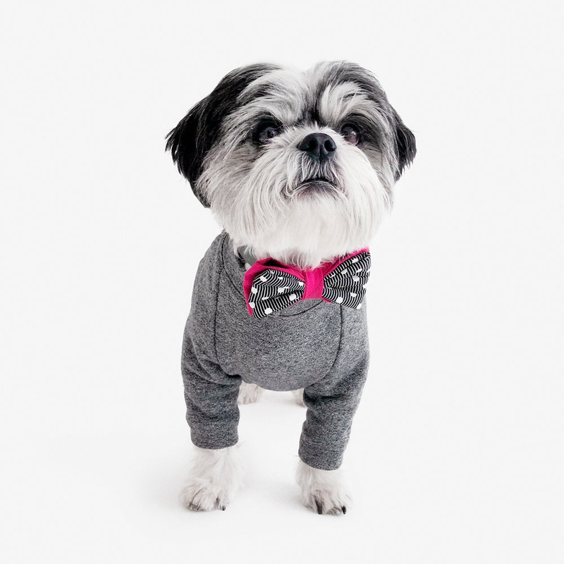 OH HONEY BEAR | Lewis Bow Tie