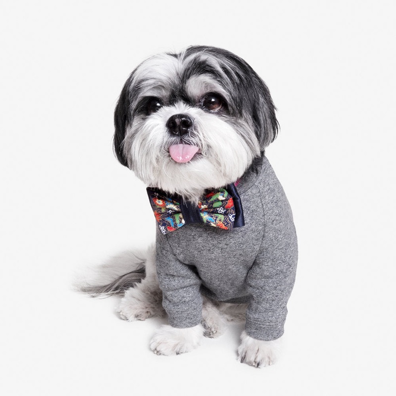 OH HONEY BEAR | Prosperity Bow Tie