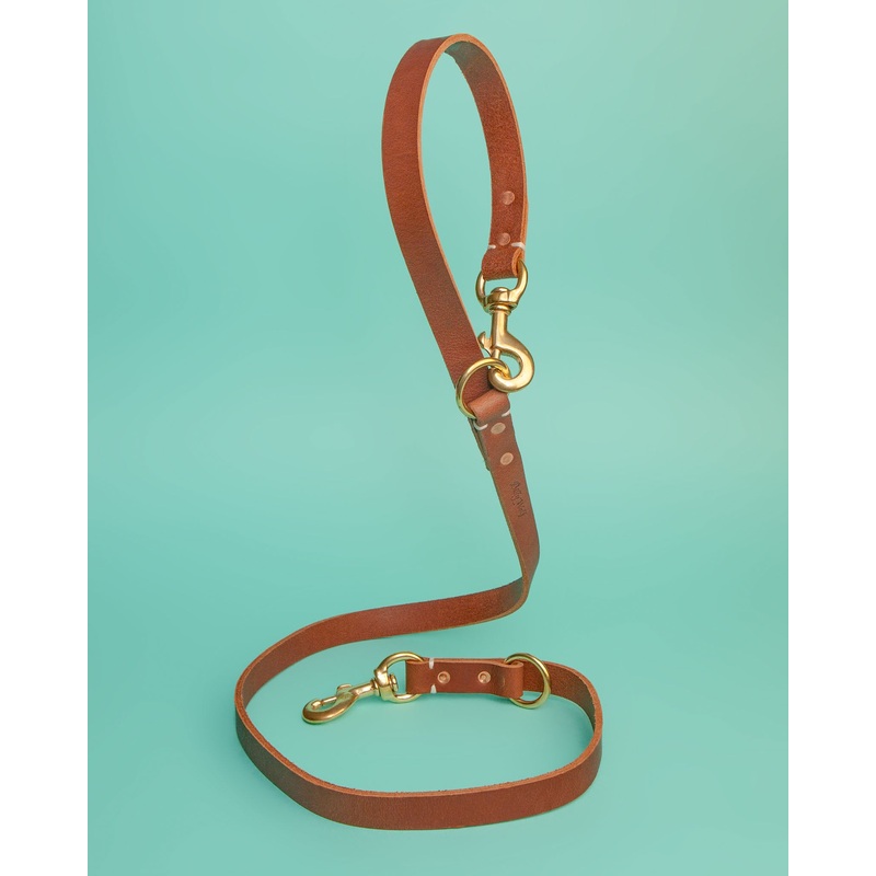 Rambler 3-in-1 Dog Leash in Terra
