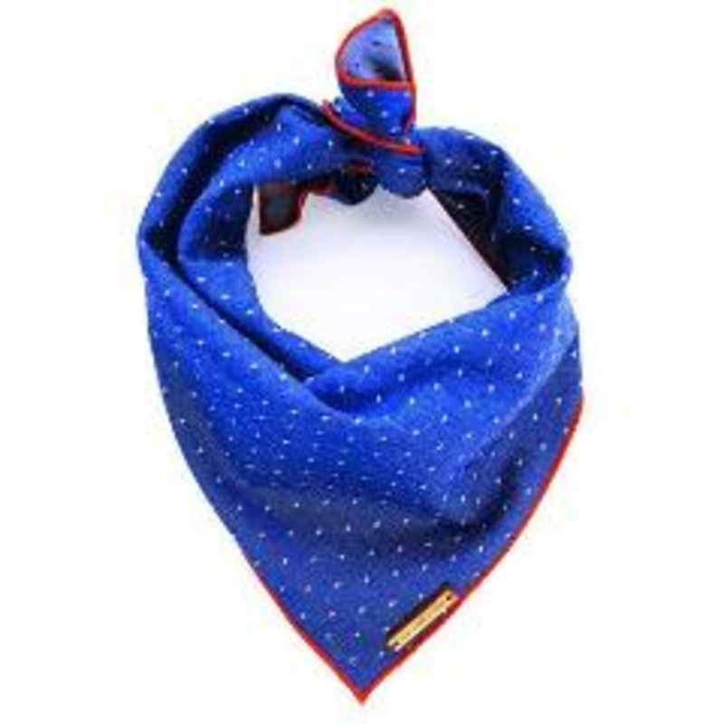THE FOGGY DOG | Cambridge Pin Dot Dog Bandana