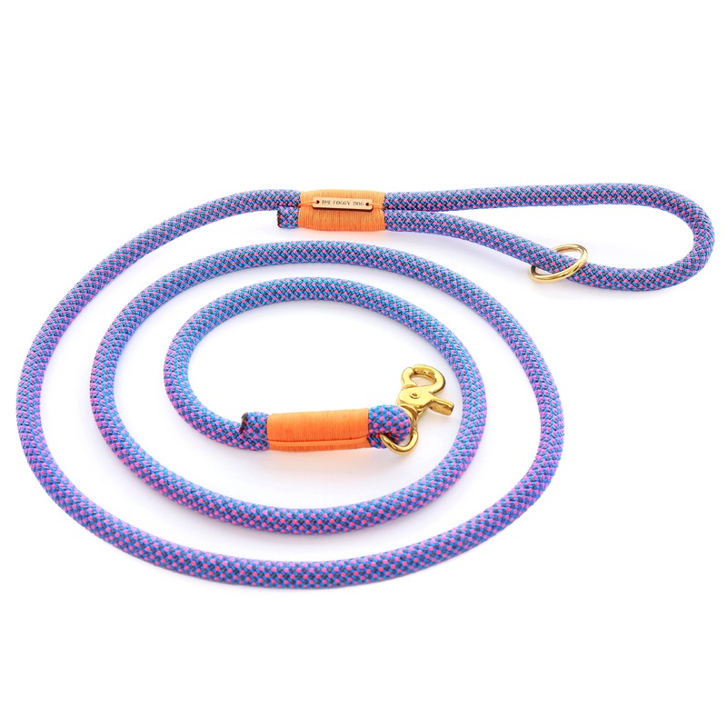 THE FOGGY DOG | Climbing Rope Leash in Neon Tetra
