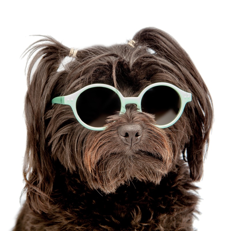 Baby Sunglasses in Sky Blue << FINAL SALE >>