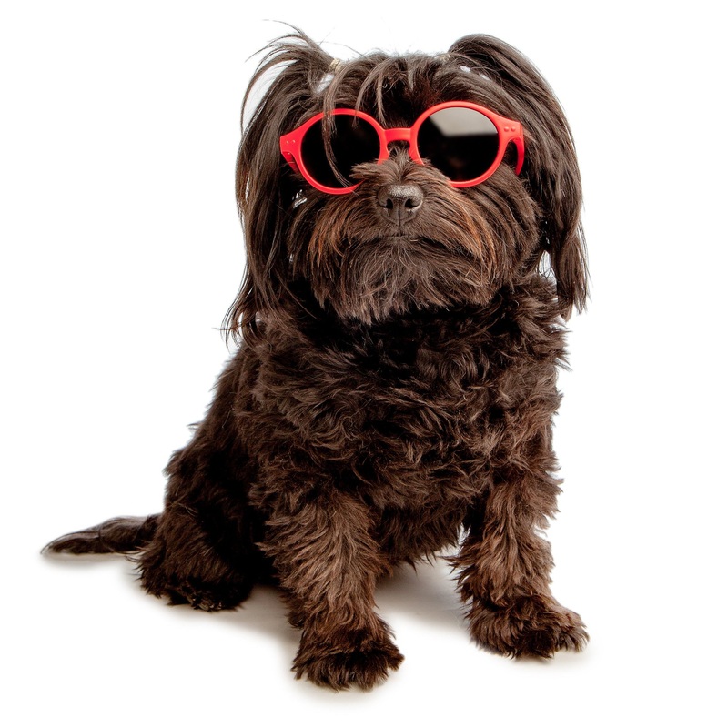 IZIPIZI | Sunglasses in Red|Small|Medium
