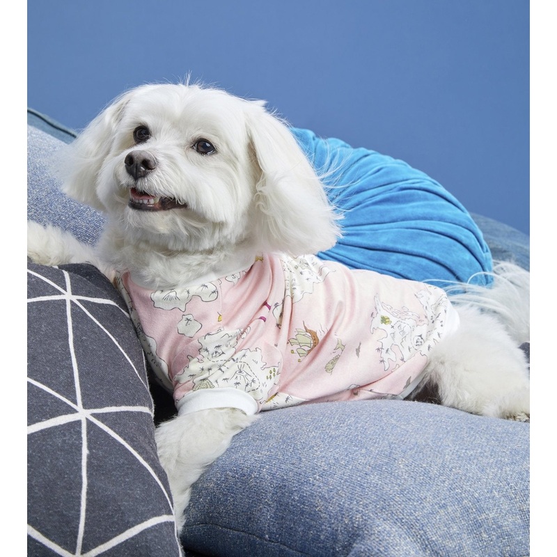 BEDHEAD | Lounge Dog T in Treasure Map