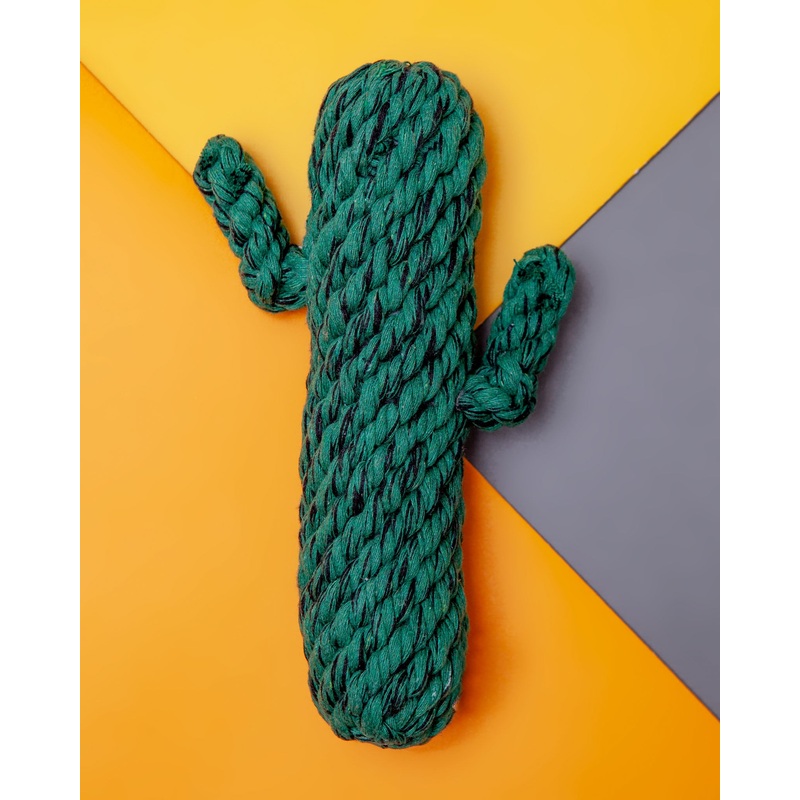 Cactus Rope Dog Toy