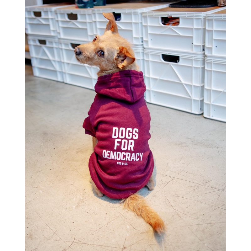 *Dogs for Democracy* Graphic Dog Hoodie (Proceeds Benefit the ACLU)