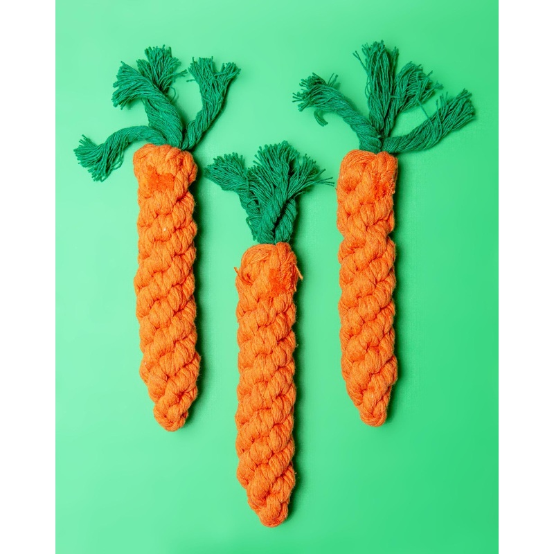 Eco-Friendly Carrot Rope Dog Toy