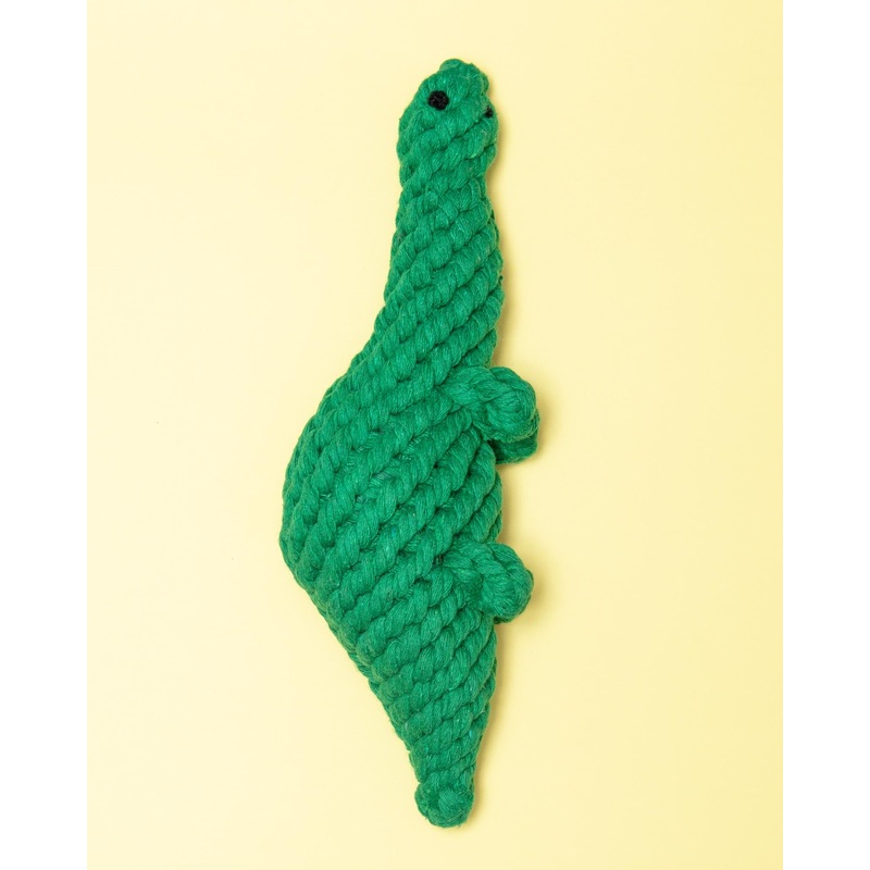 Eco-Friendly Dinosaur Rope Dog Toy
