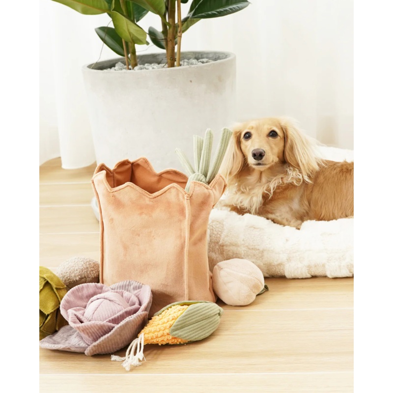 Farmer’s Market Bag Crinkle Dog Toy (Empty Bag Only)