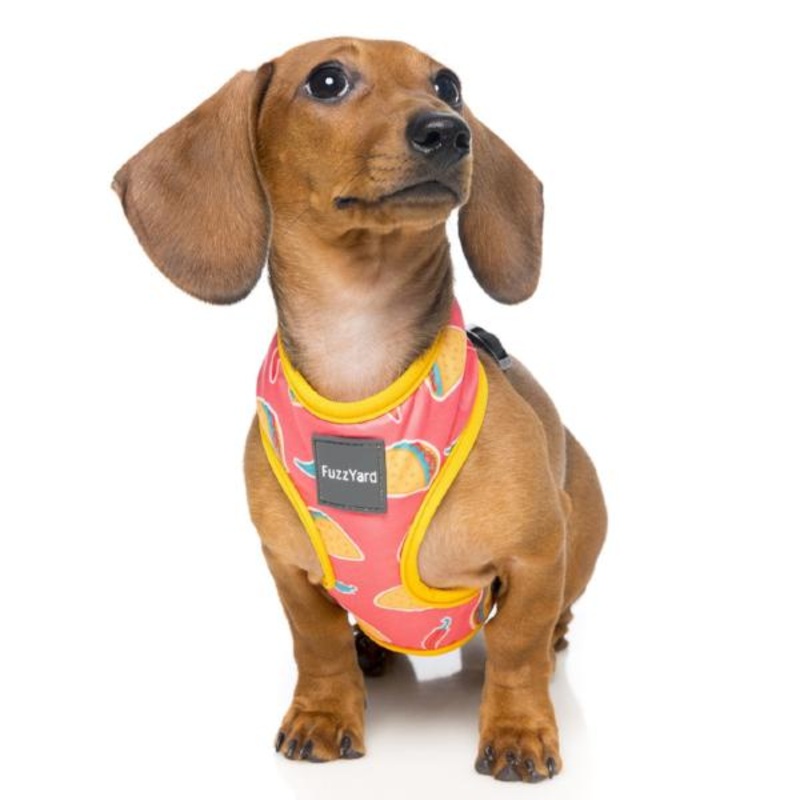 FUZZYARD | Taco Harness|XS|SMALL|MEDIUM|LARGE|XLARGE
