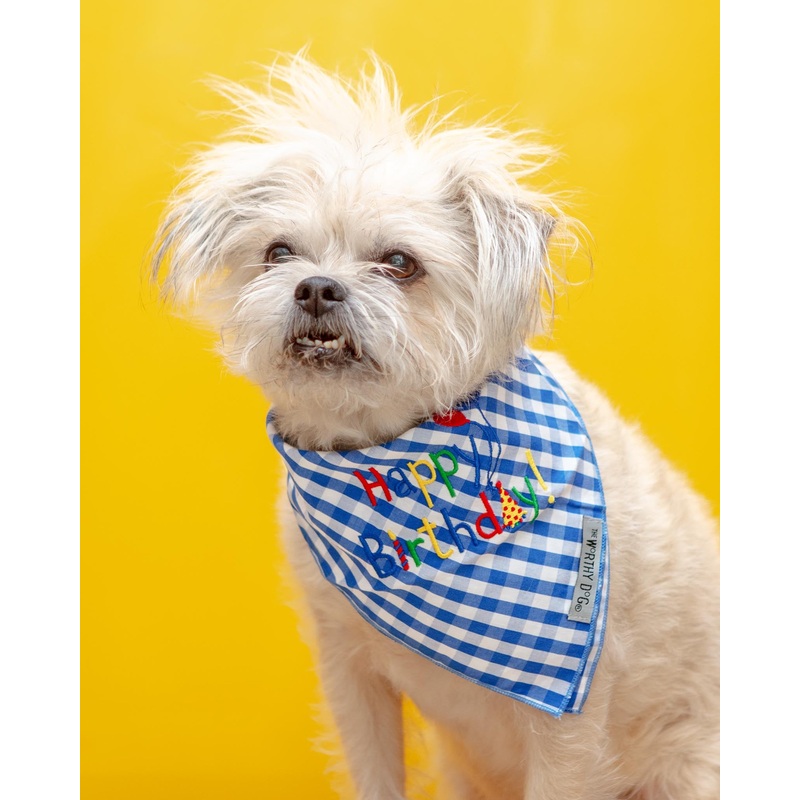 Happy Birthday Gingham Dog Bandana