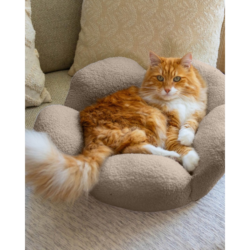 Purrfect Petals Cat Bed in Tan (21)