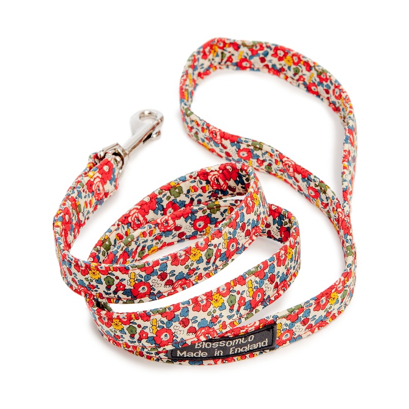 Betsy Liberty Print Floral Dog Leash