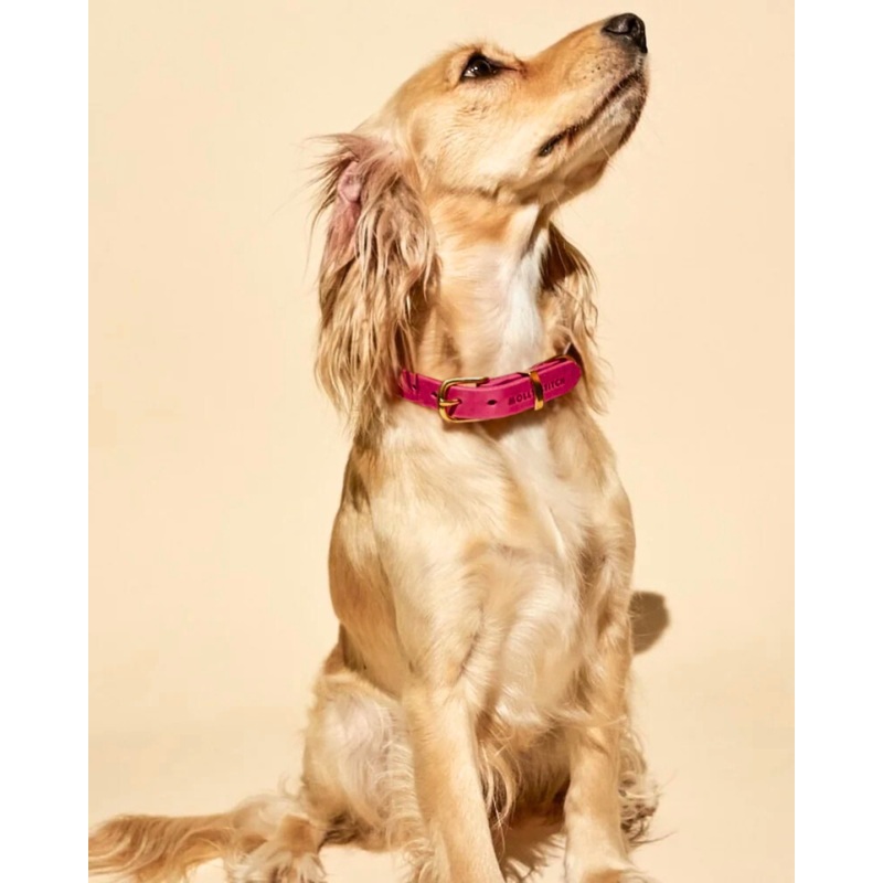 Butter Leather Dog Collar in Flamingo (Made in Austria)