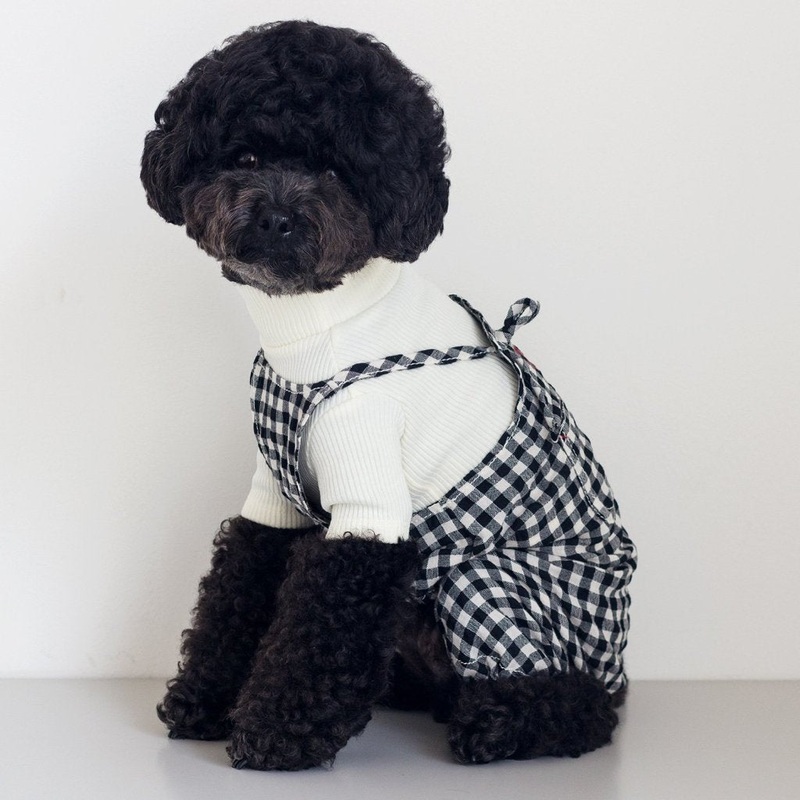 DENTISTS APPOINTMENT | Gingham Check Overall in Black & White
