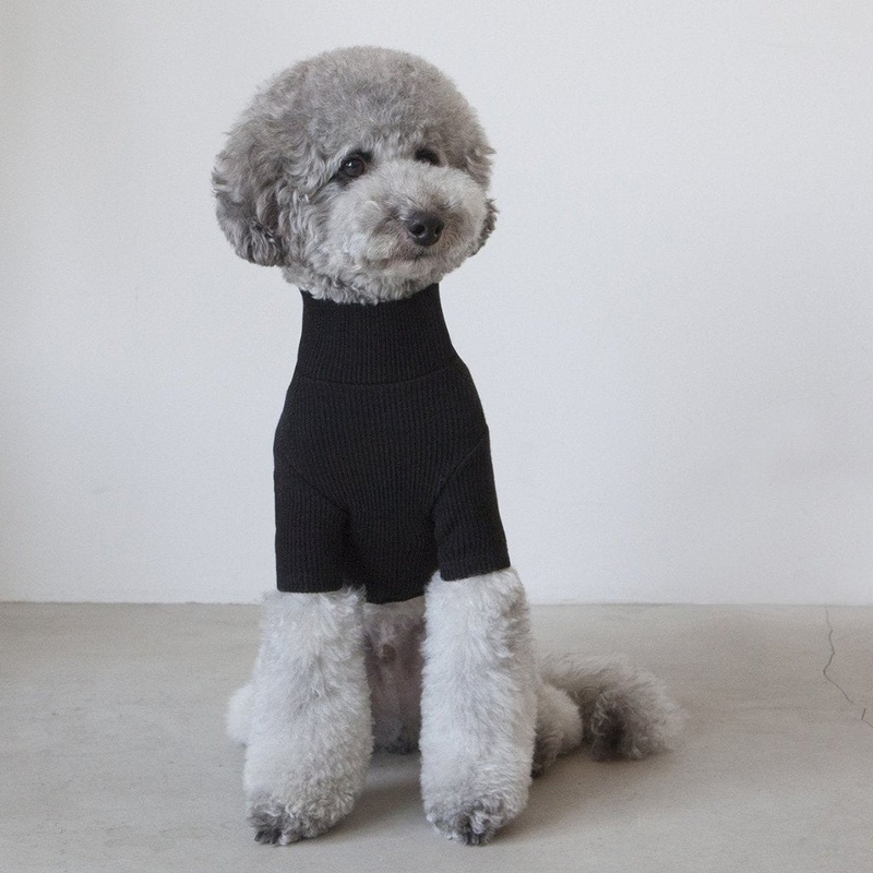 DENTISTS APPOINTMENT | Skinny Rib Rollneck in Black
