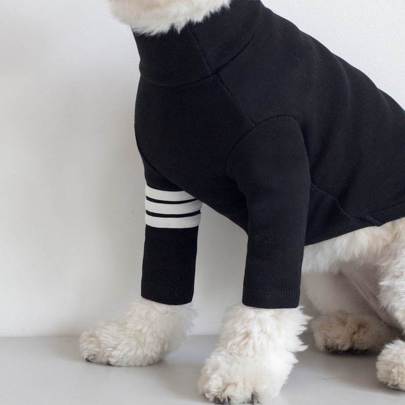 DENTISTS APPOINTMENT | Striped Point Turtleneck in Black