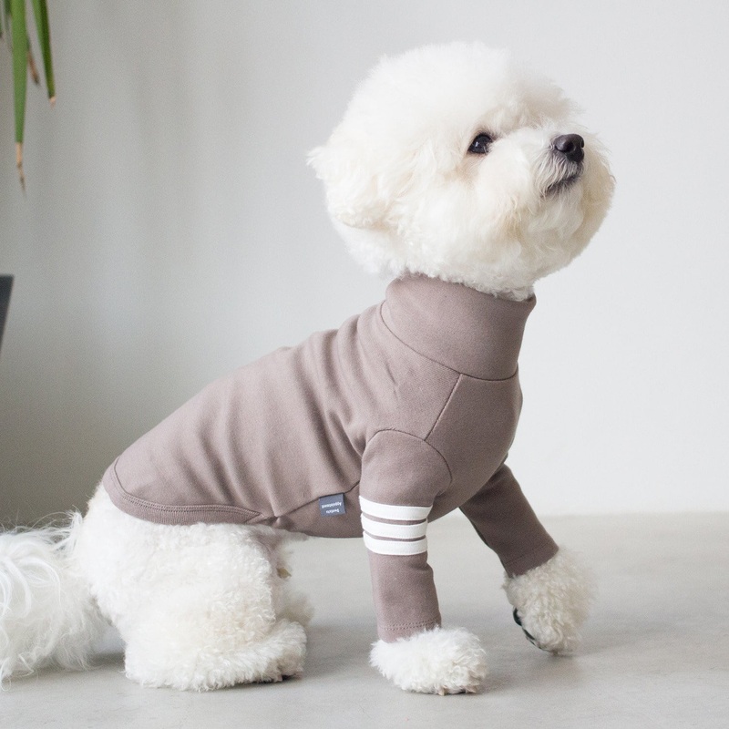 DENTISTS APPOINTMENT | Striped Point Turtleneck in Mocha