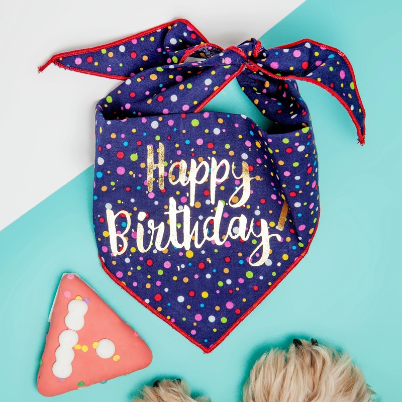 Happy Birthday Dog Bandana|Medium|Large